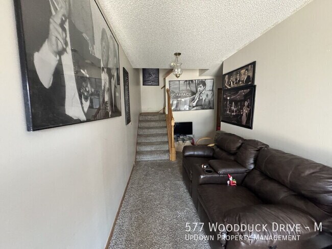 577 Woodduck Dr