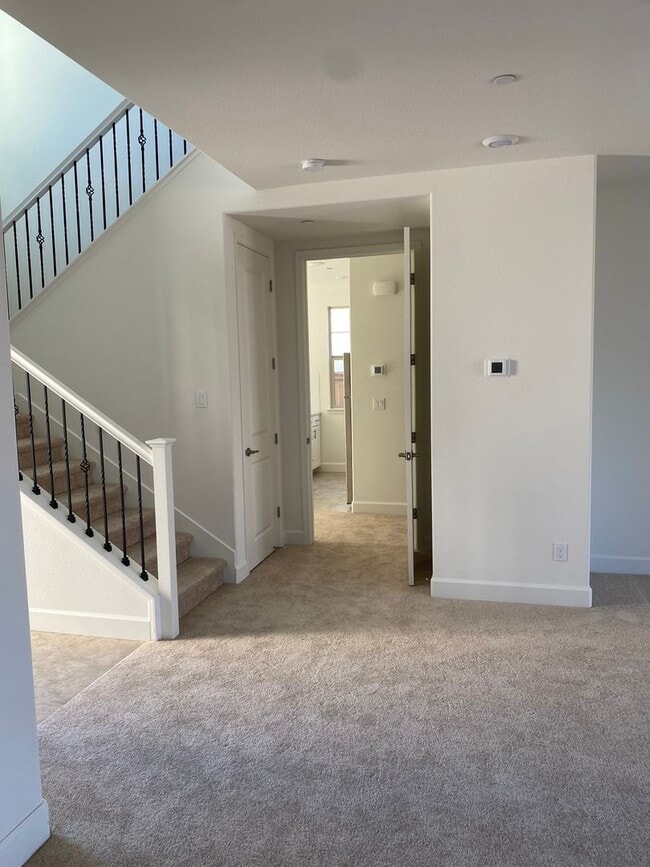 Photo - Luxury home in Springlake in Woodland