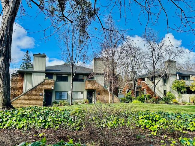 Photo - One Bedroom in a Great Community, Excellent Location, with a Pool!