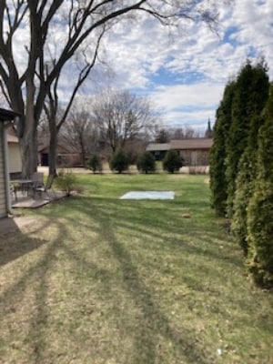 back yard