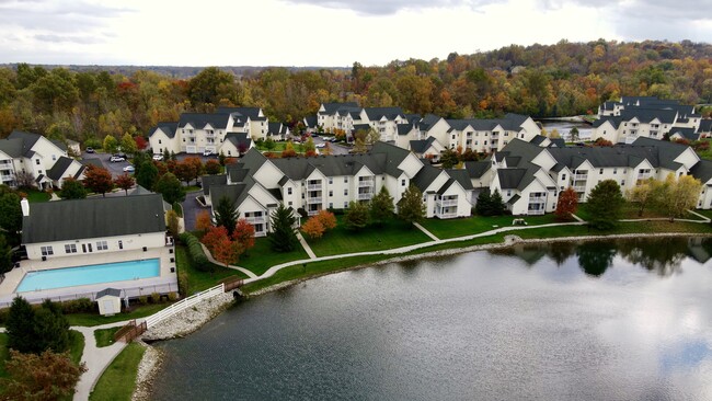 Aerial View Fall Colors