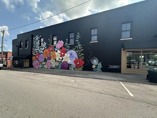 Located inside Franklin Wall Mural building, public street parking - 102 East Cedar St. Unit Apt.101