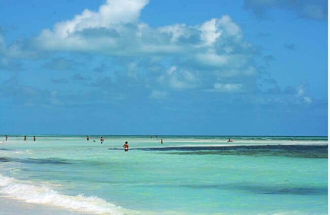 Parque Estatal Bahía Honda ¡A 5 min. de distancia! - 129 Cunningham Ln Unidad 1st Floor