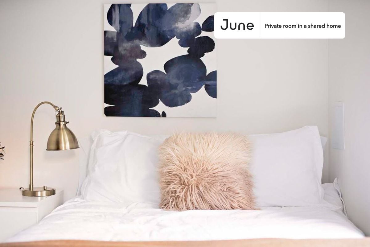 Private bedroom in 3 bed/2 bath Home - Private bedroom in 3 bed/2 bath Home