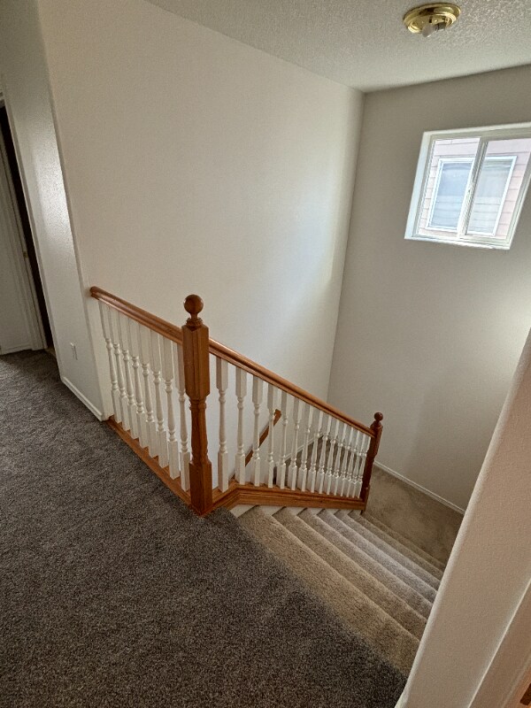 16506 NE 45th St House House Rental in Vancouver, WA