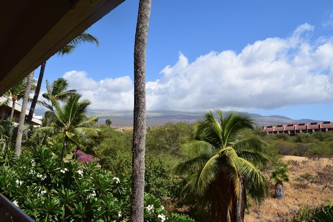 Photo - Maui Banyan 1 bd 2 bath furnished unit available February 1, 2026 for 1 yr. term.