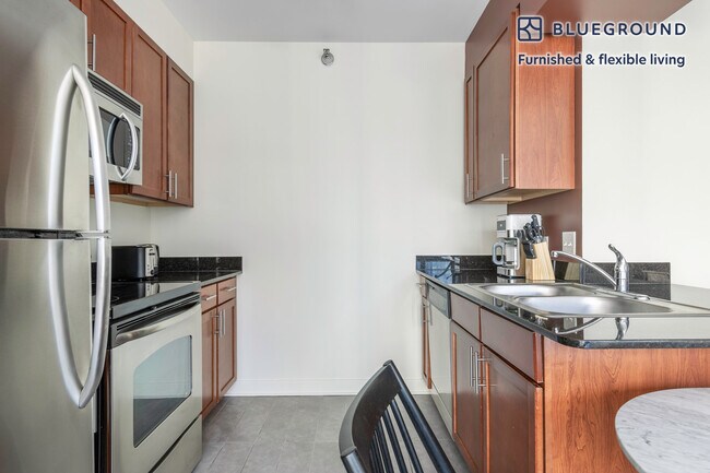 210 N Wells St Unit SI FL17-ID258