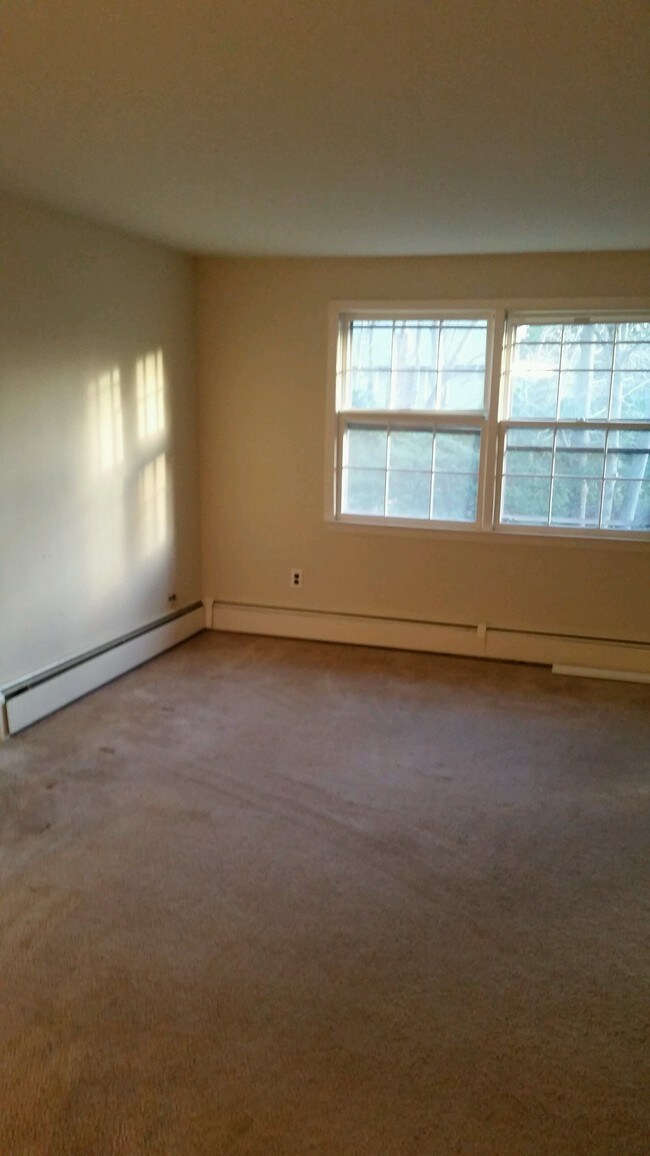 Living room - 20 Havemeyer Ln