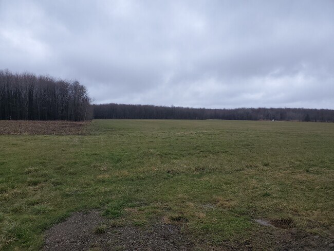 Rear View - 9440 Sherman Rd