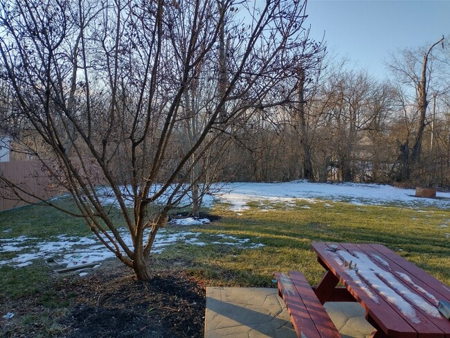 Back Yard - 1445 Urlage Dr