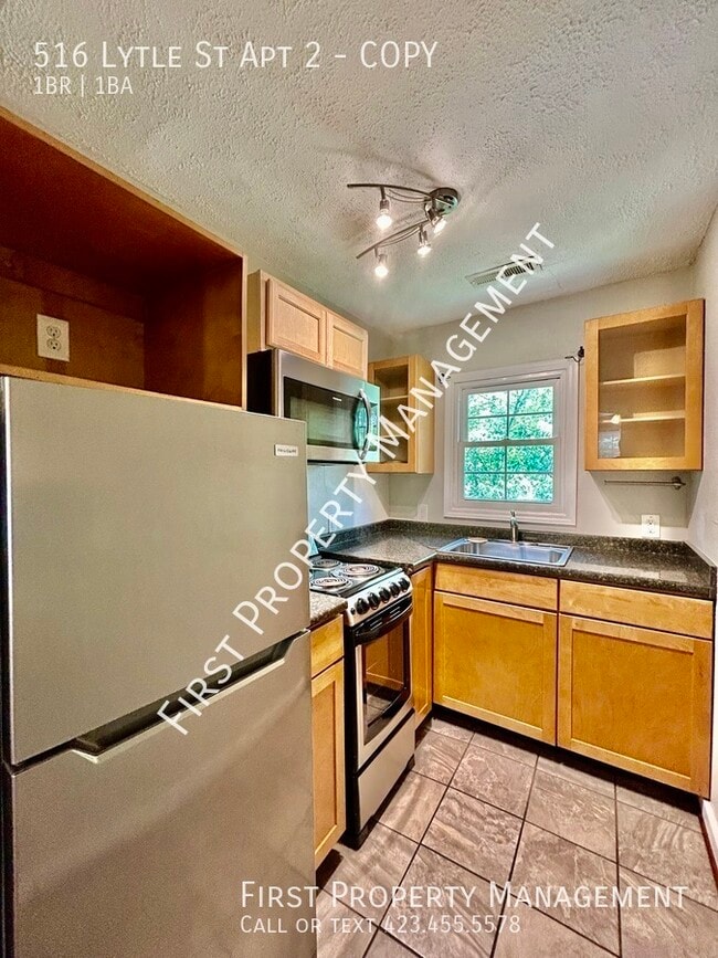Photo - 516 Lytle St Unit COPY