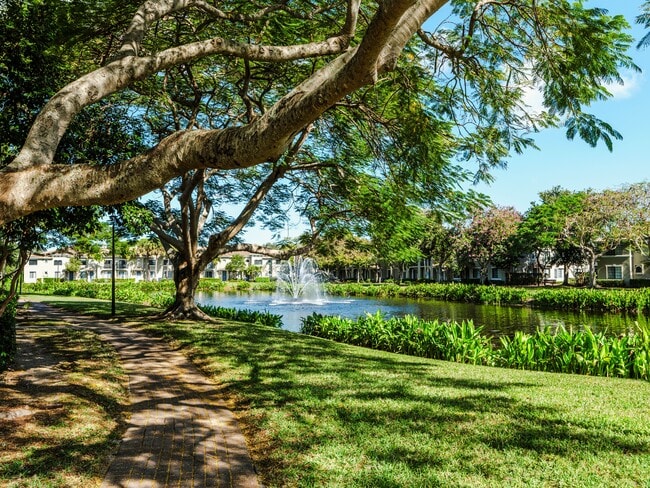 Local landscape and water features