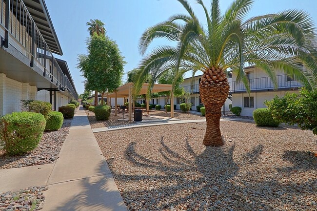North Edge Phoenix
