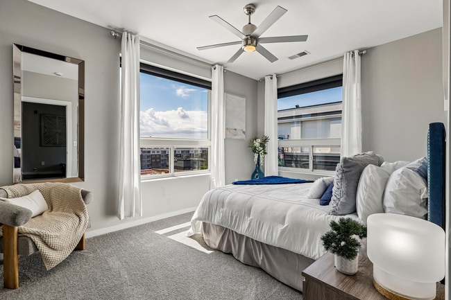 Photo - Aqua on the Levee