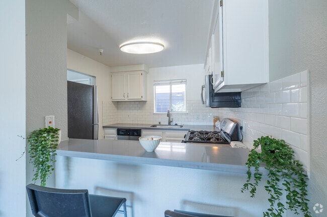 2X2 Platinum - 2BR, 2BA - 1,000SF - Kitchen - The Terraces