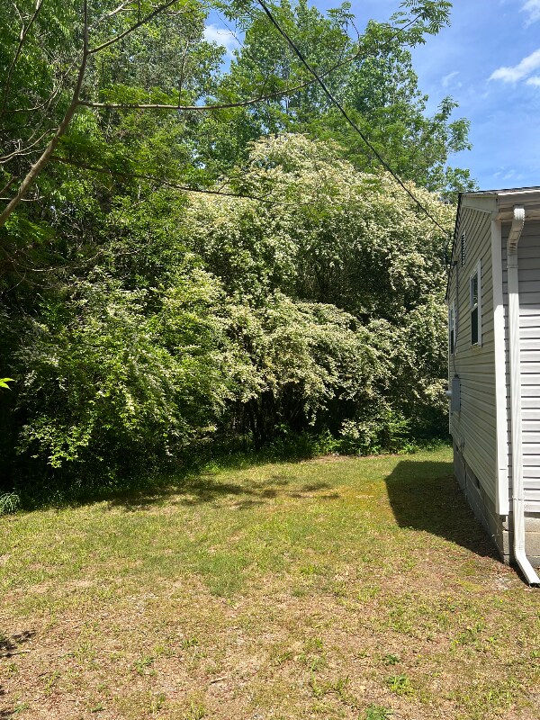 Photo - 499 Jones Mill Rd