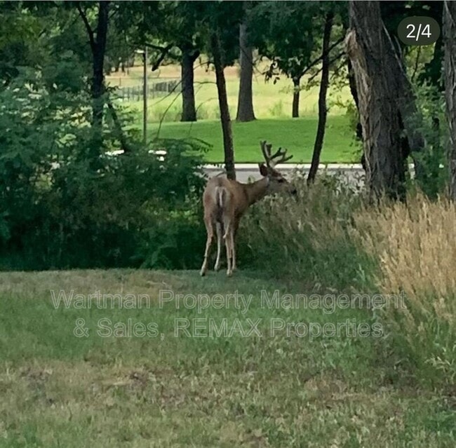 Photo - 1530 Little Bear Creek Point