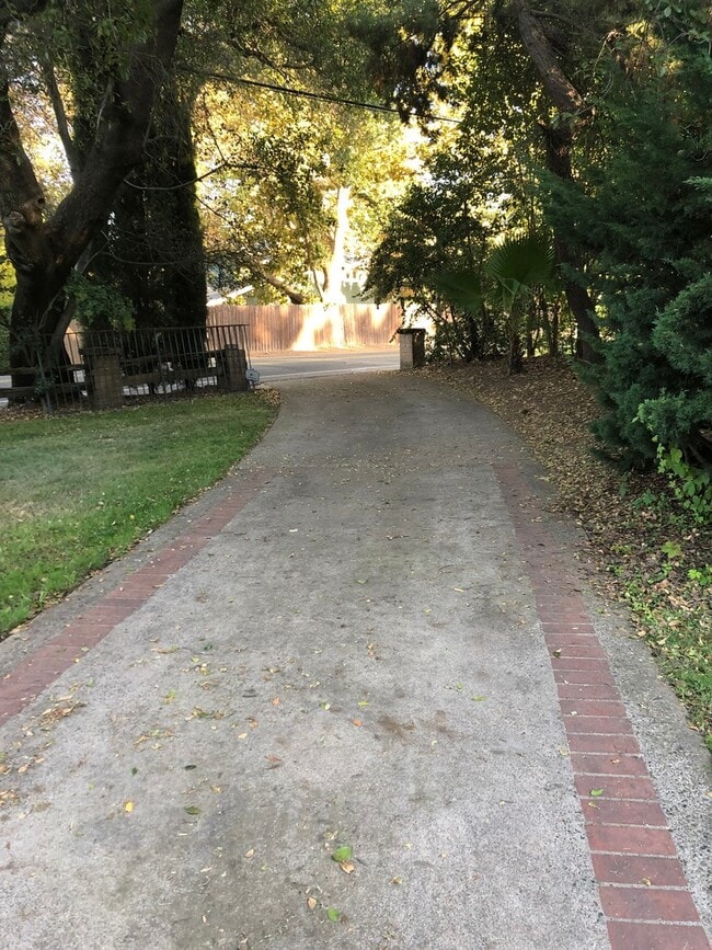 Photo - Carmichael Colony