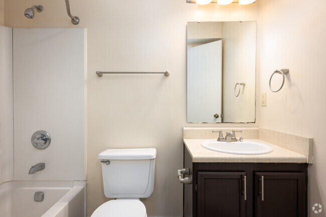 Well Lit Vanities