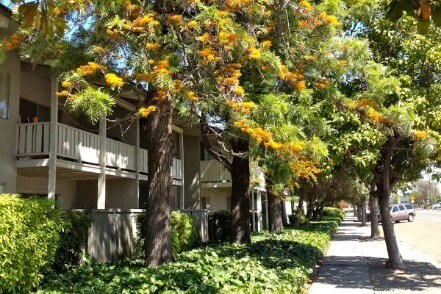 Baywood Apartments