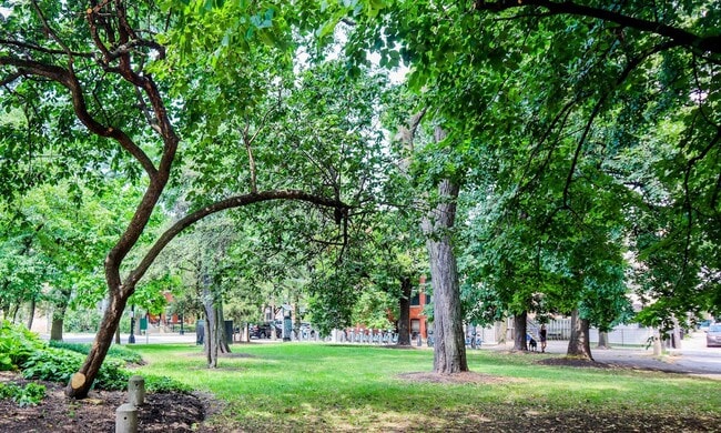Parque Arrigo: a media cuadra - Harris Point Chicago