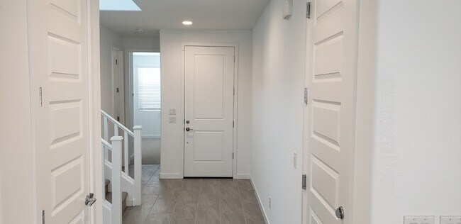 Photo - 6 month NEW BELLAMY!