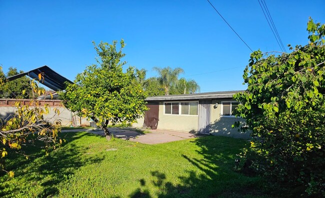 Building Photo - 539 Trier Ave