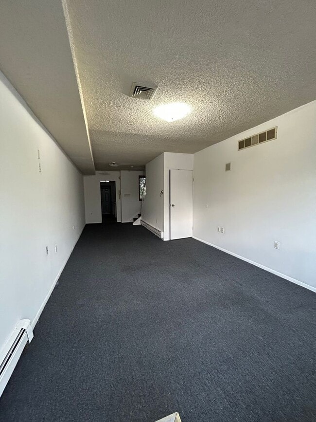 Photo - 163 Kirkbride Ave