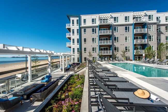 Pool and Patio Area