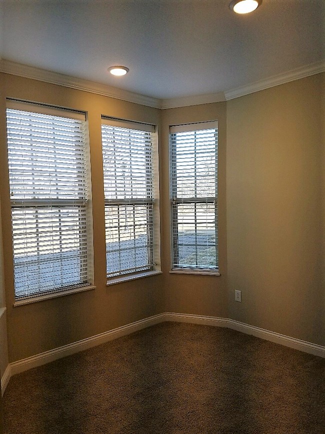 Dining Area Windows