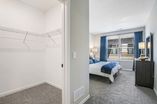 Photo - Water's Edge