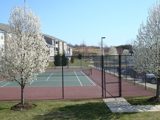 Cancha de tenis - Malvern Lakes Apartments