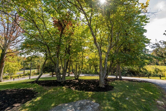 Saddlebrook at Tates Creek