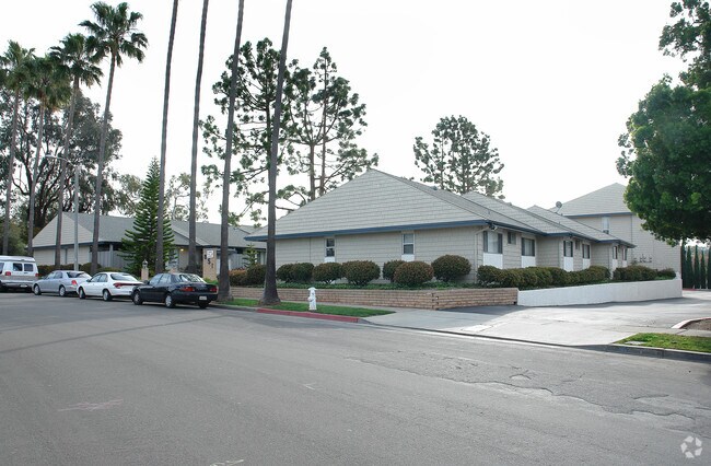 Photo - Domingo Pines