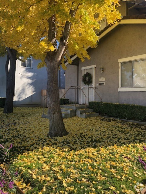 Front of Building - 208 Sunnyside Avenue Rental