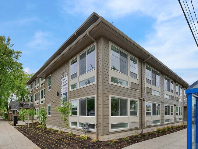 Photo - Cardy on Woodstock