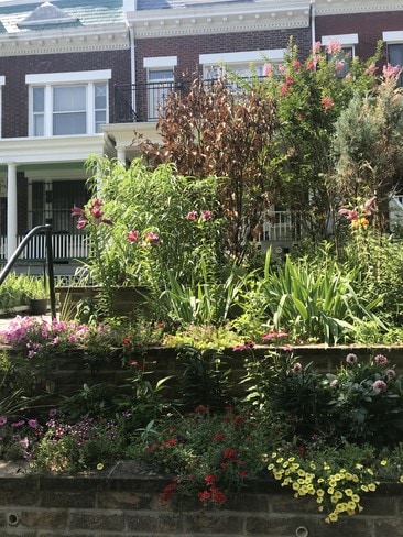 outside - 1110 Euclid St NW