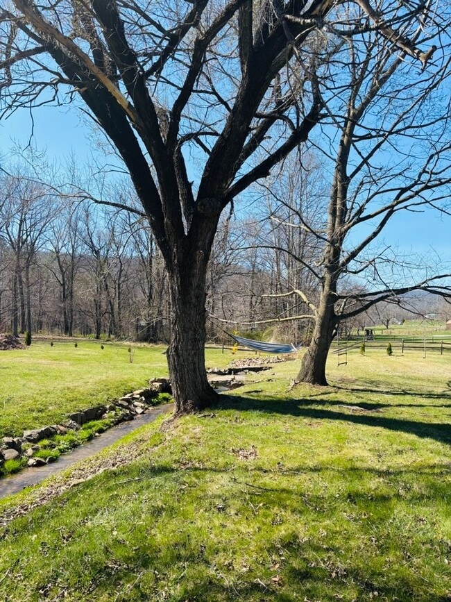 Photo - Rare Oasis: 2BR Home with Large Loft Area on 1.5 Acres Bordering National Forest and Fronting Dry...