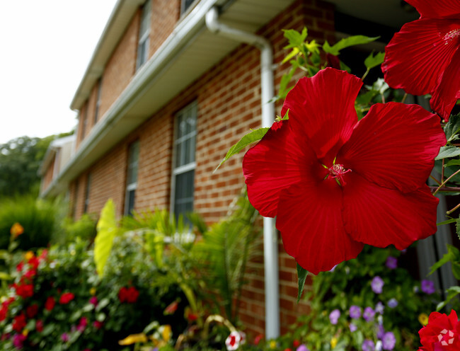 Sturwood Hamlet Apartments - Sturwood Hamlet Apartments