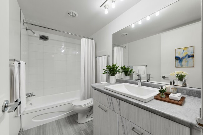 Photo - Lansdowne Park