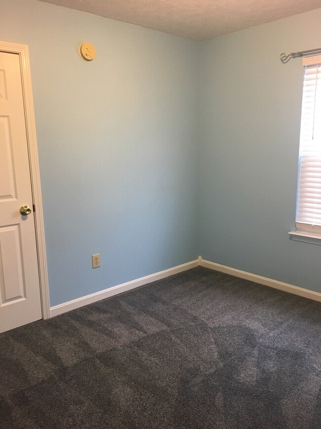 Photo - Just In Time For Christmas!