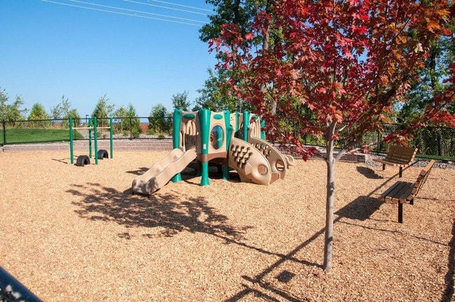 Photo - Pike Lake Marsh
