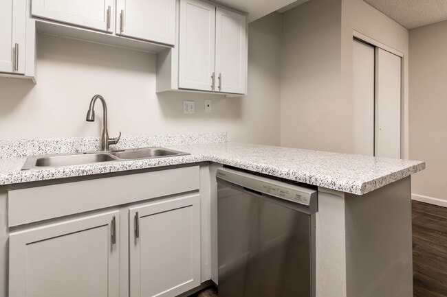 Flex Nozzle y lavaplatos - Morrison in Mesa