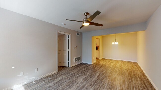 Photo - Sun and Sands