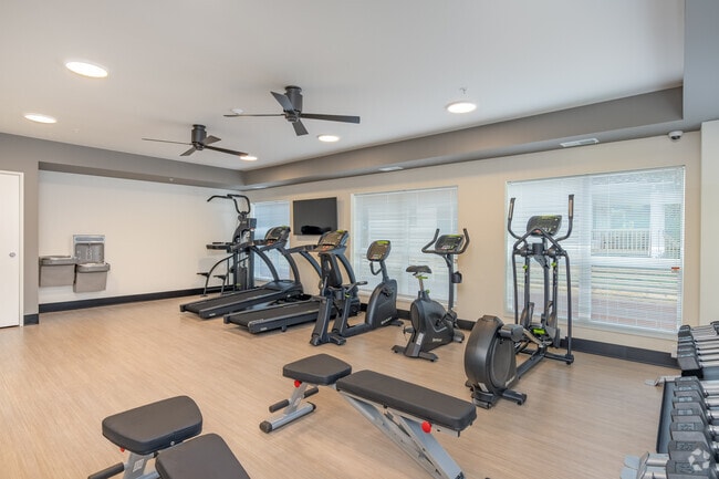 Fitness