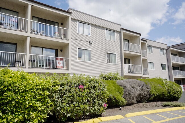 Photo - Mountain Ridge