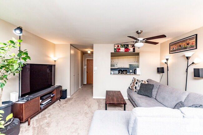 Photo - 211 E Ohio St Unit 1015