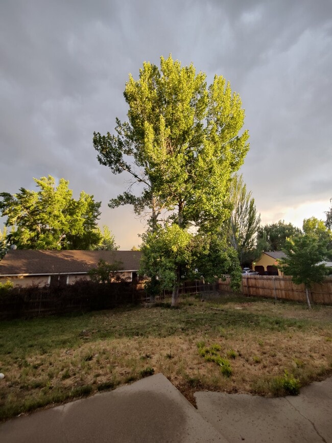 Photo - 3801 E Mallard Ln