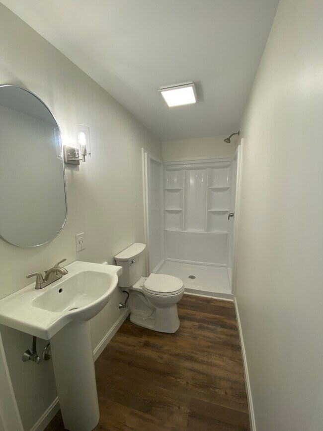 Downstairs Bathroom - 256 Main Rd N