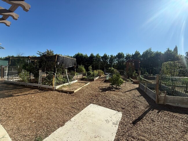 Photo - 21725 Bene Dr